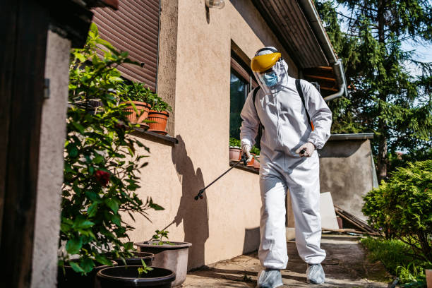 Best Bird Control  in National City, CA