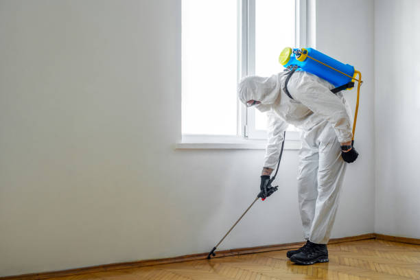 Insect Control in National City, CA