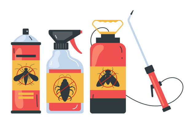 Best Rat Extermination Near Me  in National City, CA