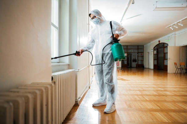 Best Affordable Pest Control Services  in National City, CA