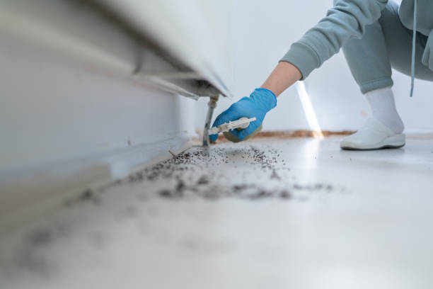 Wildlife Control Services in National City, CA